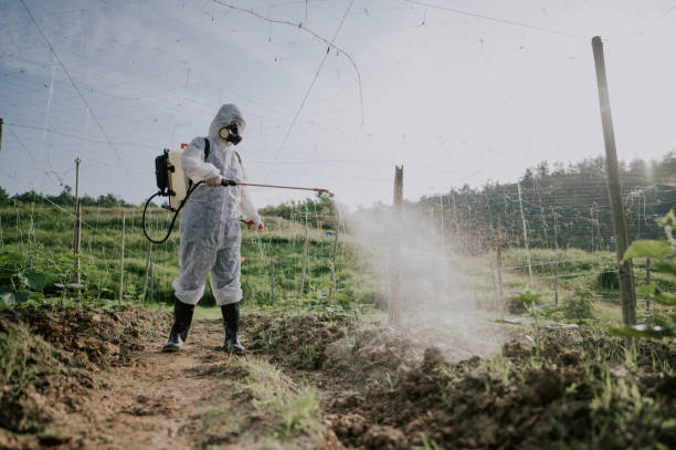 Best Ant Control Services  in Lawrence, NY