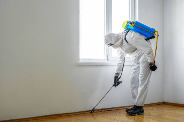 Reliable Lawrence, NY Pest Control Solutions