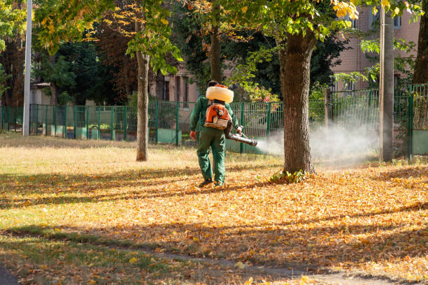 Best Termite Control Services  in Lawrence, NY