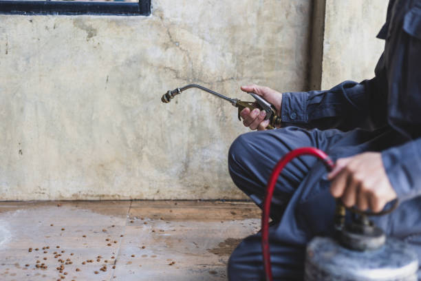 Best Pest Control Cost  in Lawrence, NY